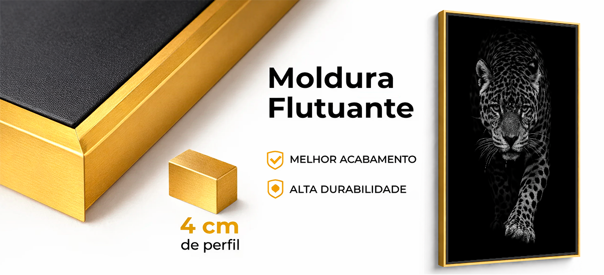 Moldura Flutuante Site 1210x551 pixels